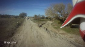 12 広いダート道を横切る（動画）