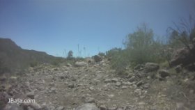 07 うっそうとした原野（動画）