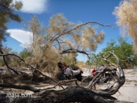 11 たまには休もう（動画）