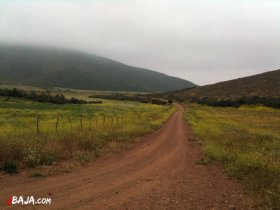 17 花畑の中のT字路